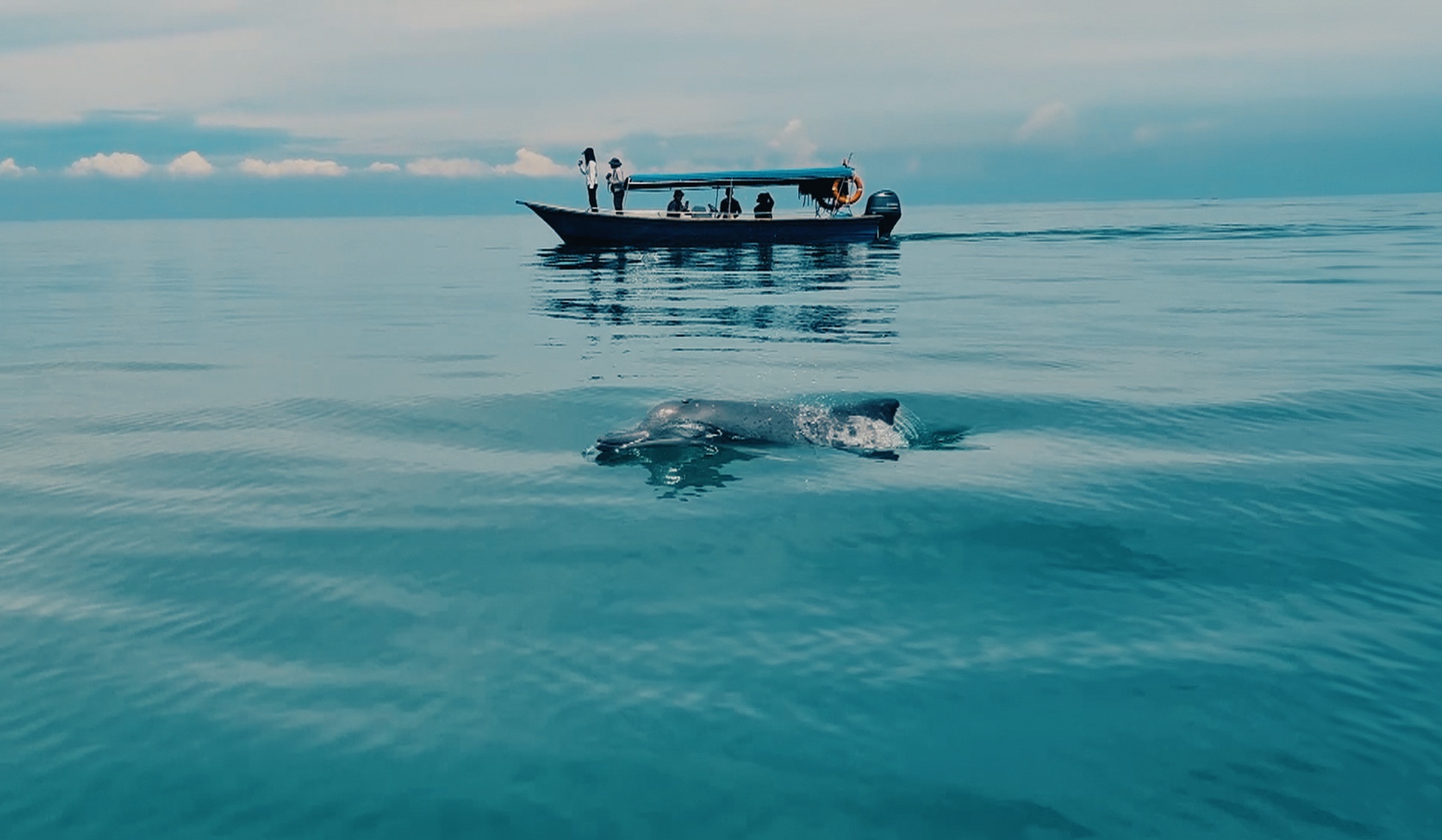 Стражи океана