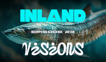 Astrakhan Sturgeon