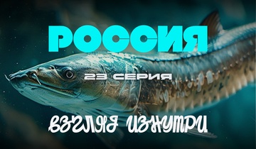 На осетровой ферме