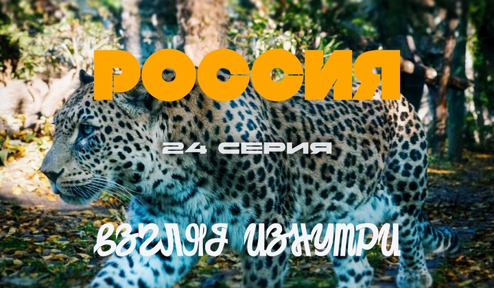 О традициях, культуре и истории, без которых не понять Россию.