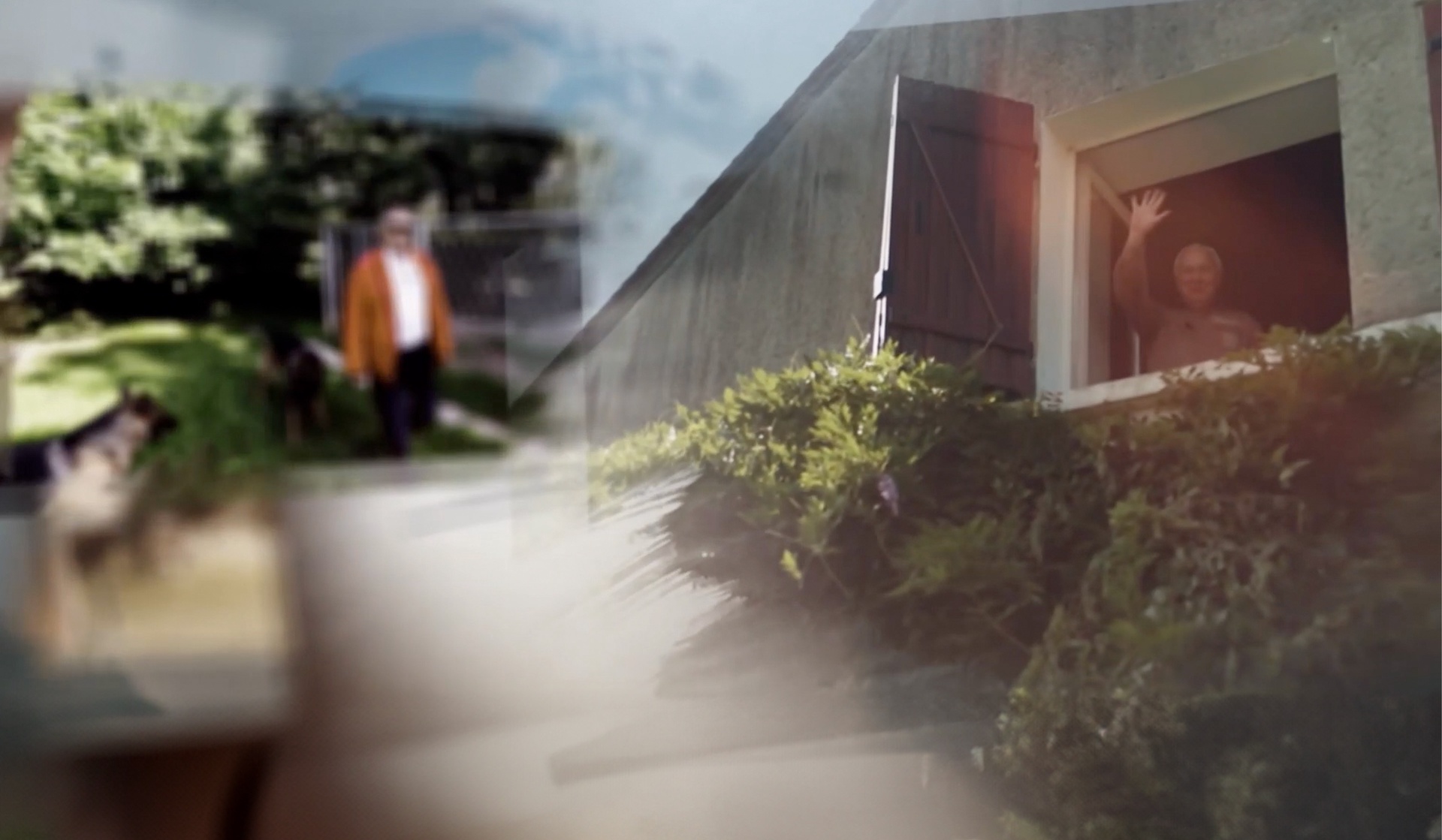 Мой личный план преображения планеты