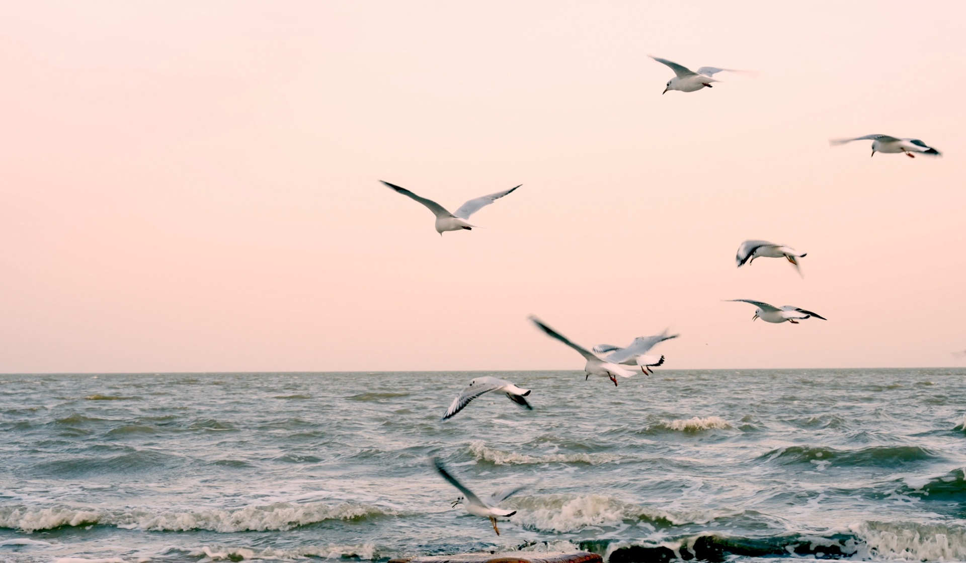 Неновые регионы: дорога домой. Серия 8