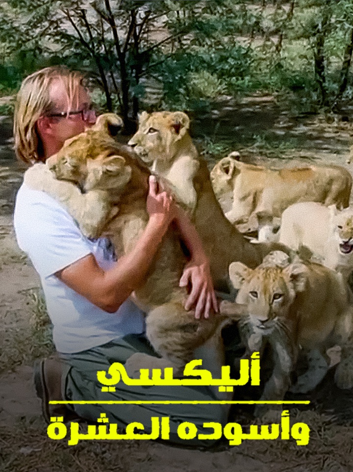 أليكسي وأسوده العشرة