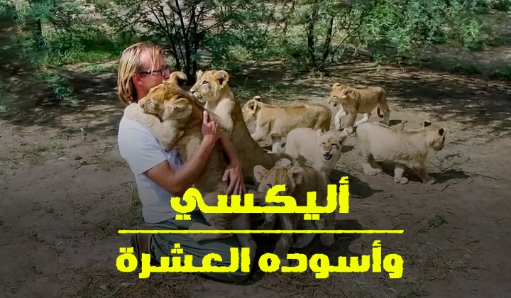 أليكسي وأسوده العشرة