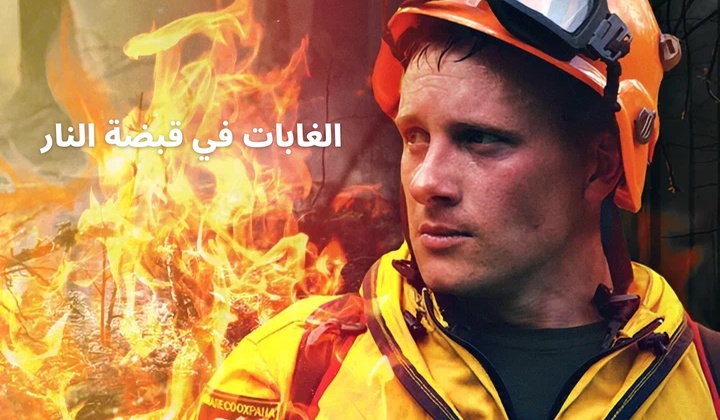 Brave spetsnaz vs. fierce Siberian wildfires 