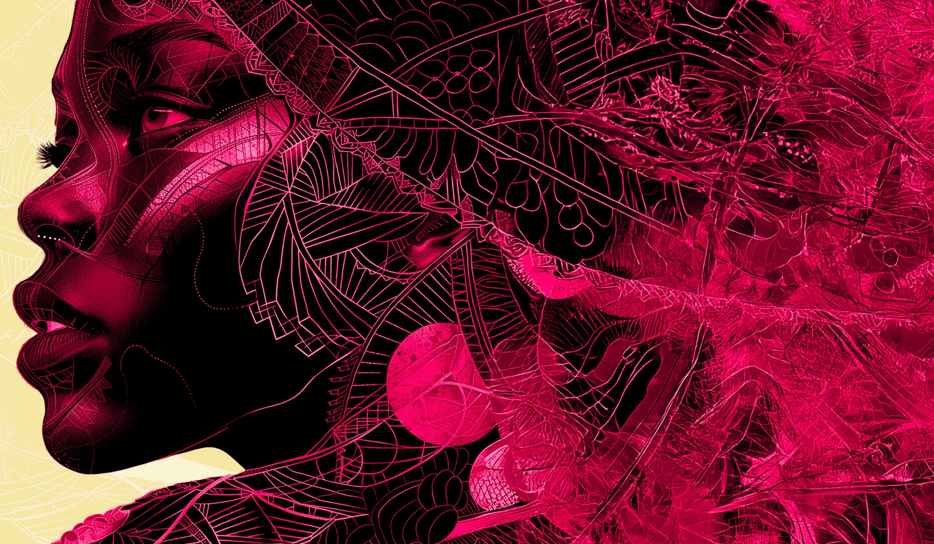 Вооружённые силы Африки