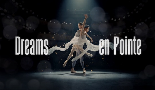 The Bolshoi Theatre Ballet School in Brazil: its founding story and star alumni