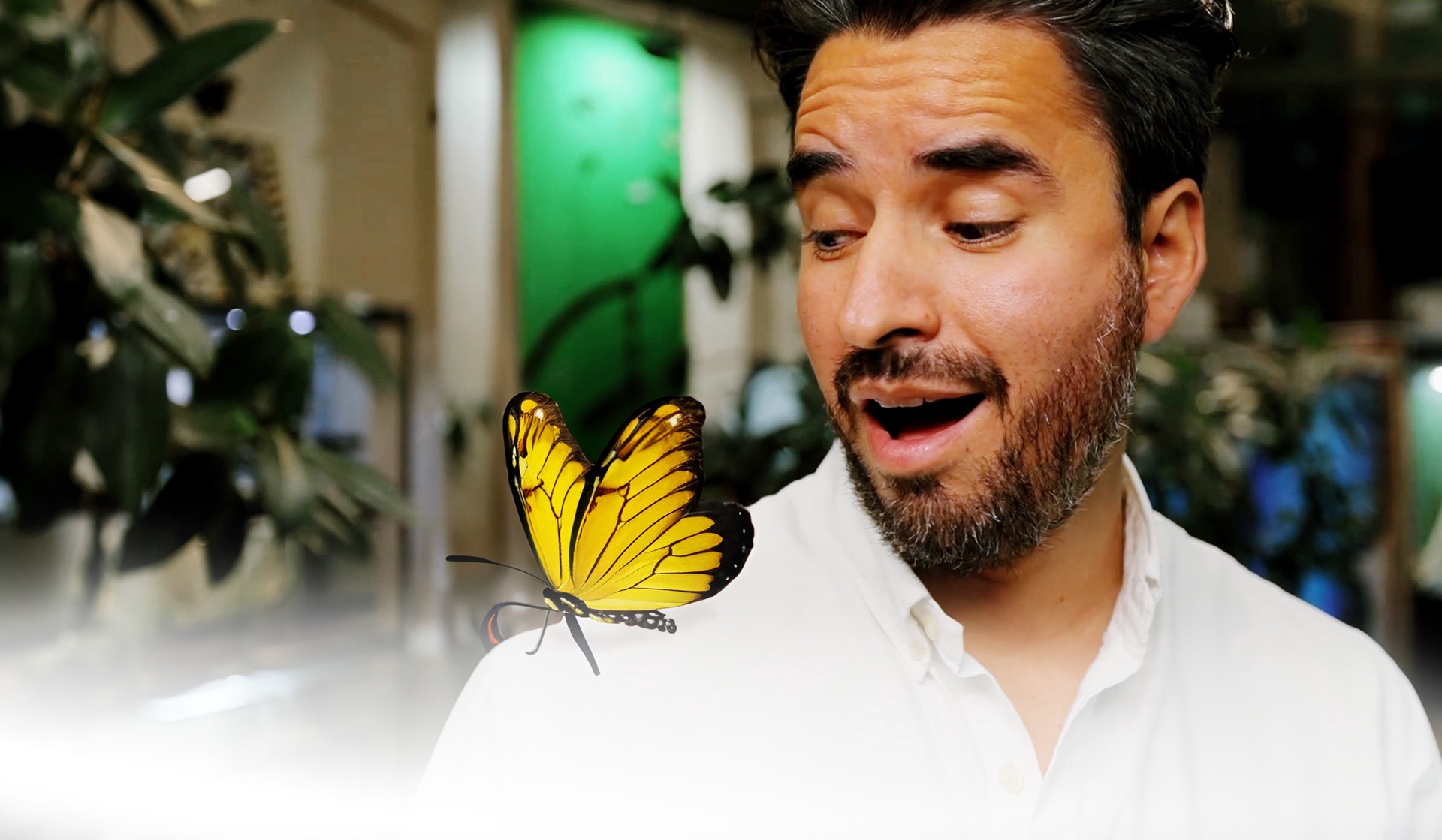 В поисках новых впечатлений