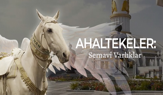 Türkmenistan'ın dünya rekorları kıran göz alıcı atları.