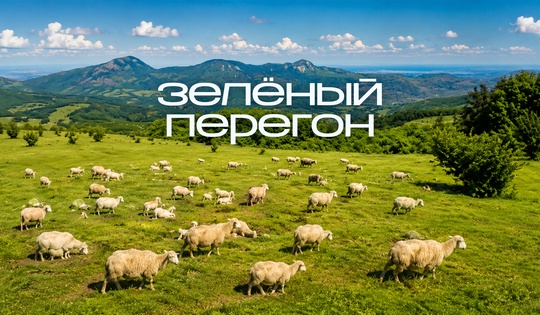 Как люди возвращают земле плодородие