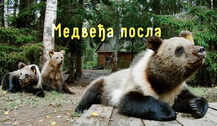 Центар за спасавање и опоравак мечића без мајке