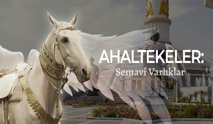 Türkmenistan'ın dünya rekorları kıran göz alıcı atları.