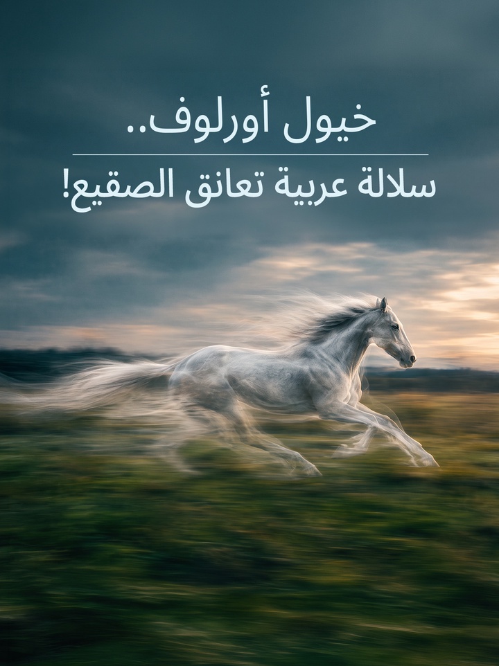 أسطورة الفروسية الروسية