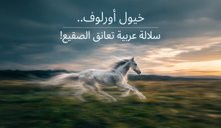 أسطورة الفروسية الروسية