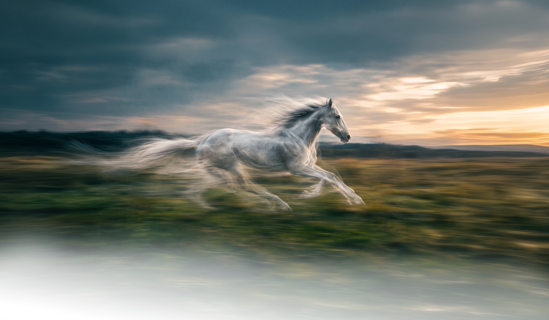 Trotting Through the Wind