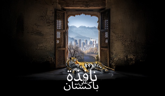 تاريخ التعاون والصداقة بين روسيا وباكستان